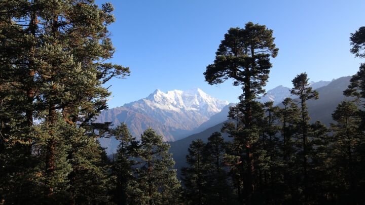 Népal : Trek du Langtang