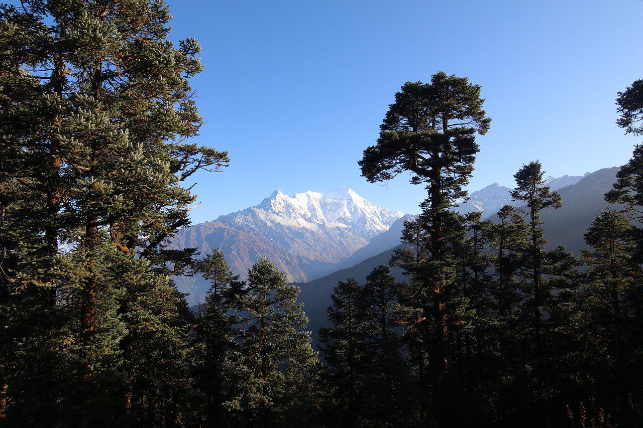 Nepal trek langtang