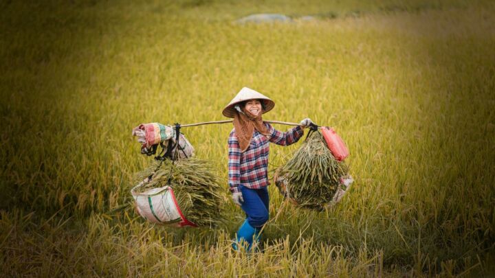 Itinéraire au Vietnam : Que voir en 1 mois ?