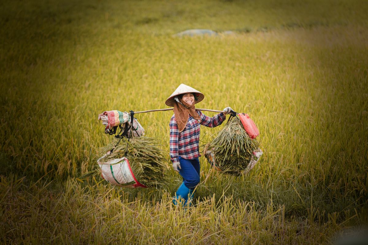 Itinéraire au Vietnam : Que voir en 1 mois ?